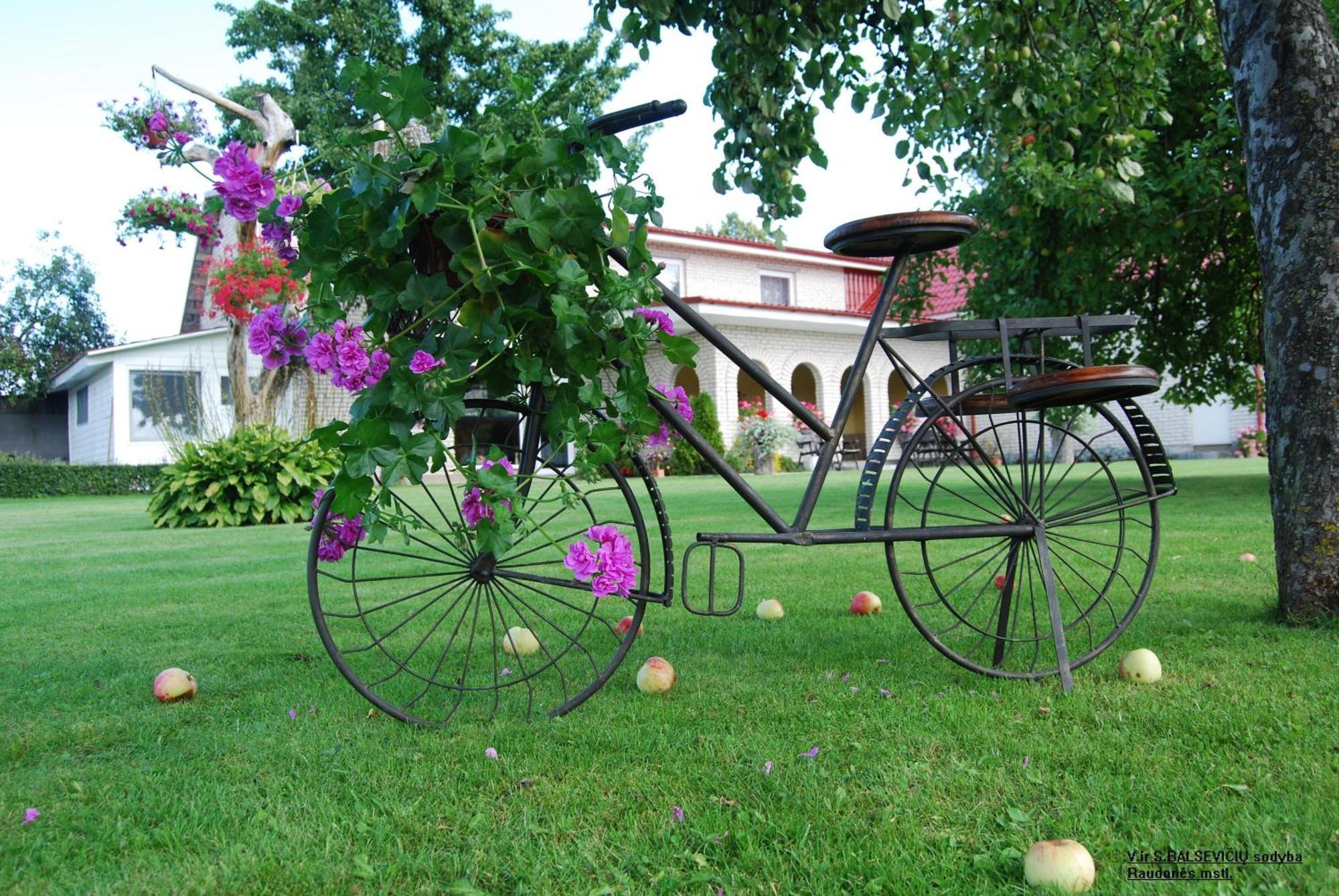 Stasio Balseviciaus Homestead Raudonė Exteriör bild